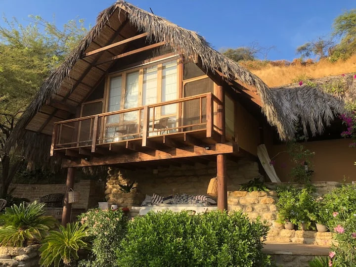 La suite de Surfing Birds entre jardines