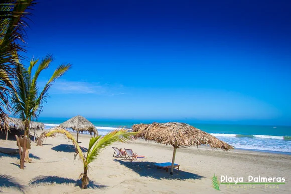 Playa Palmeras · Vichayito